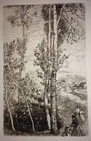 Grabado Lepere - La petite mare