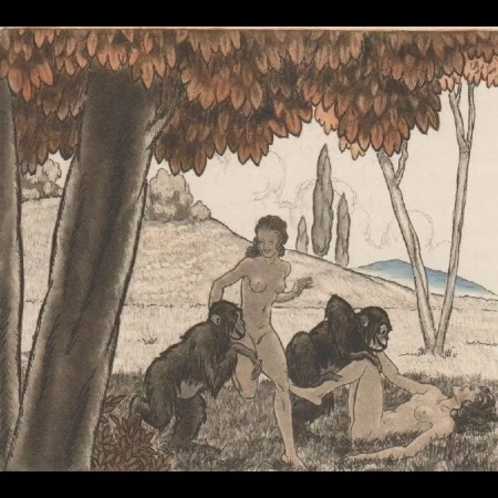 Libro Ilustrado Leroy  - Candide, ou l'optimisme