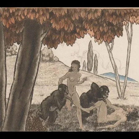 Libro Ilustrado Leroy  - Candide, ou l'optimisme