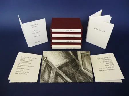 Libro Ilustrado Levy - Tout est ici