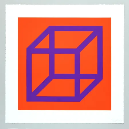 Sin Técnico Lewitt - Open Cube in Color on Color Plate 29
