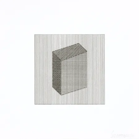 Serigrafía Lewitt - Twelve Forms Derived From a Cube 18