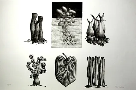 Litografía Lionni - Senza titolo