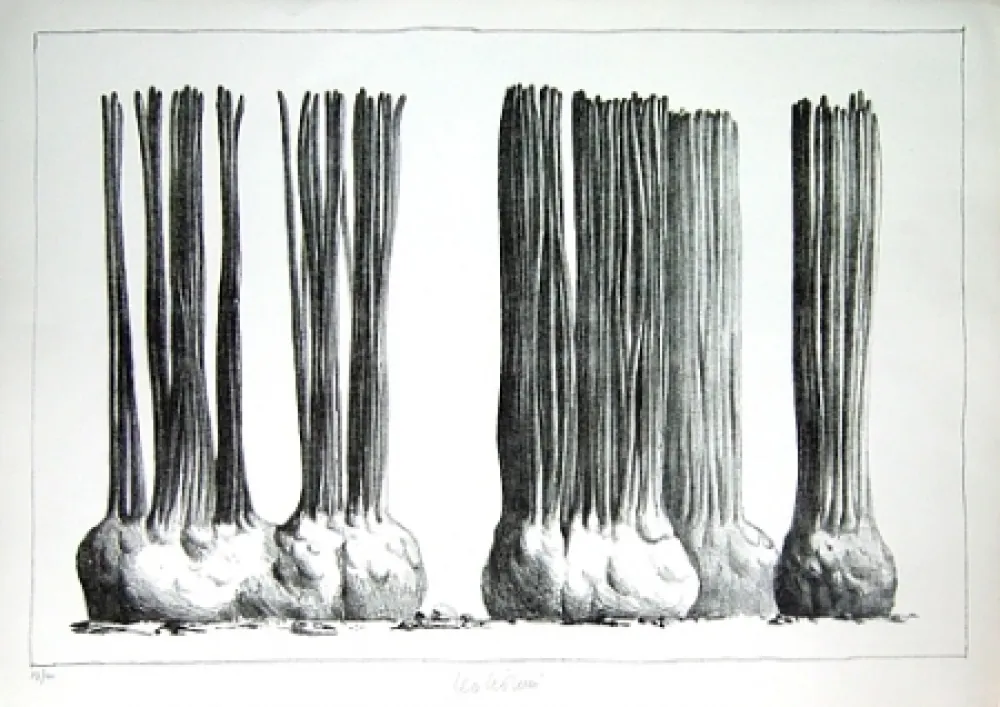 Litografía Lionni - Taluma trillosa