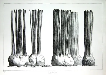 Litografía Lionni - Taluma trillosa