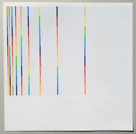 Serigrafía Lohse - 12 vertical and horizontal progressions