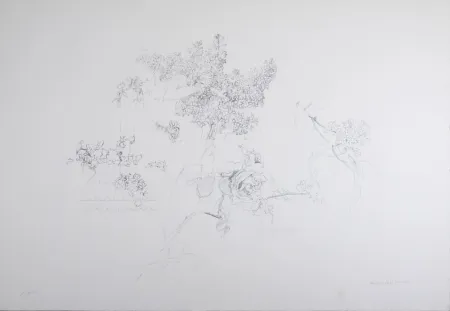 Litografía López Garcia - Composition