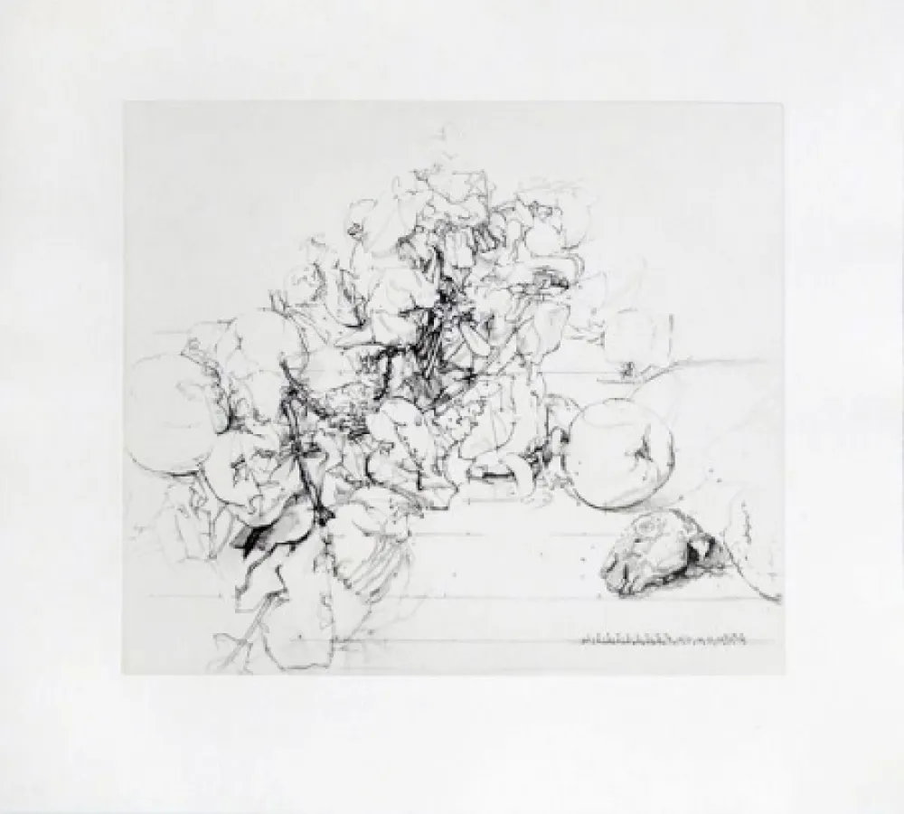 Aguafuerte Y Aguatinta López Garcia - Membrillos, granadas y cabeza de conejo