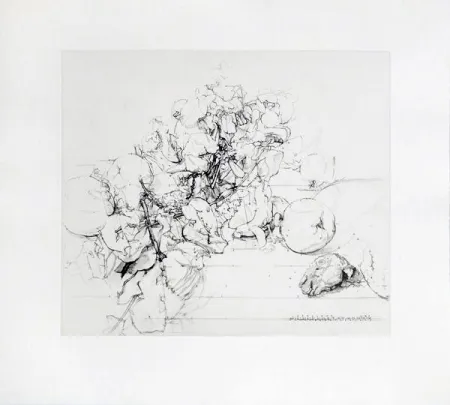 Aguafuerte Y Aguatinta López Garcia - Membrillos, granadas y cabeza de conejo