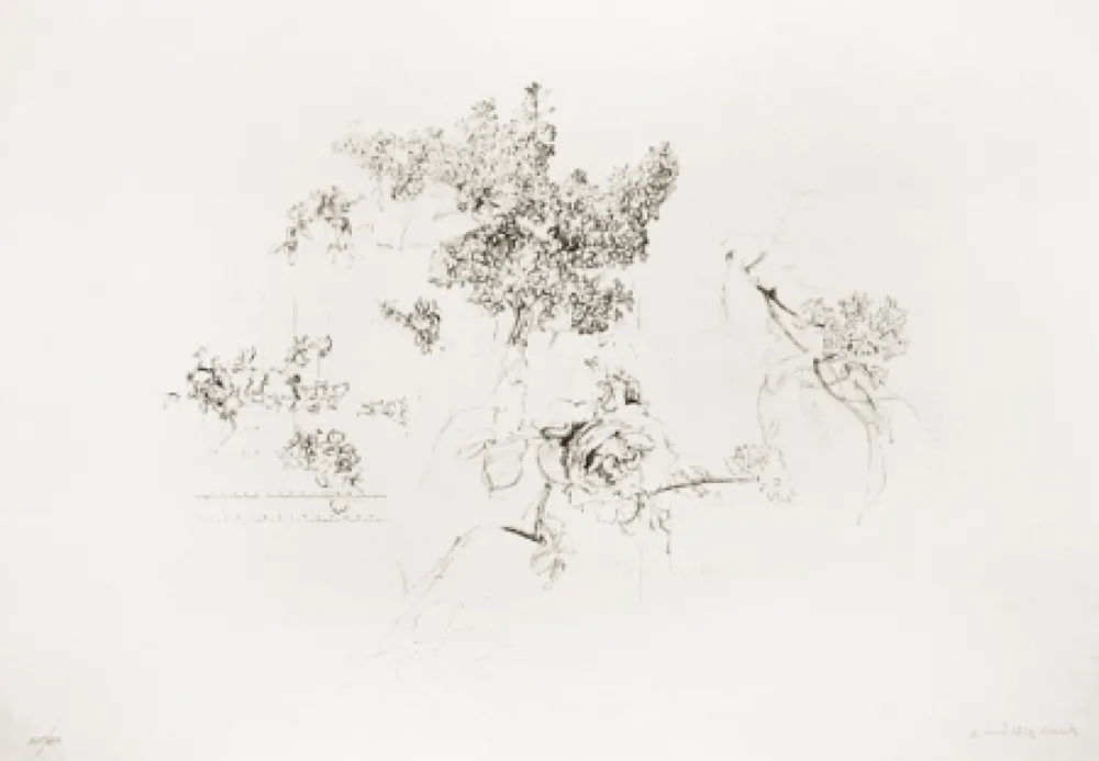 Litografía López Garcia - Olympic Centennial