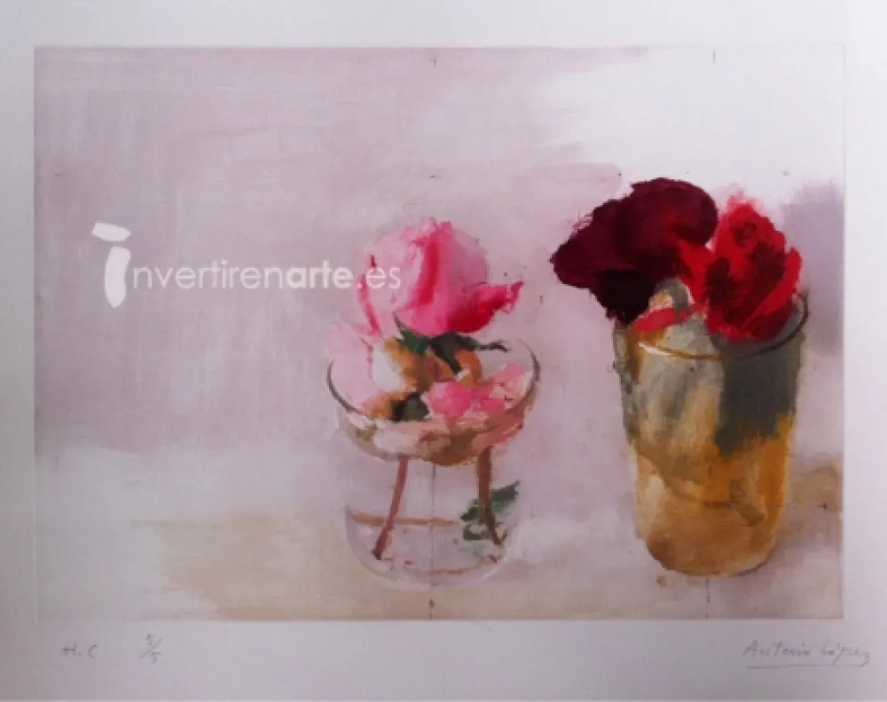 Aguafuerte López Garcia - Rosas de invierno I