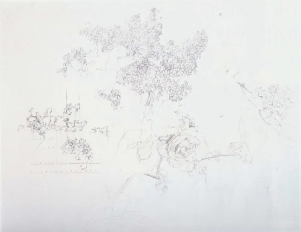 Litografía Lopez - Olympic Centennial