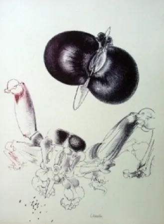 Litografía Lunven - Sans titre