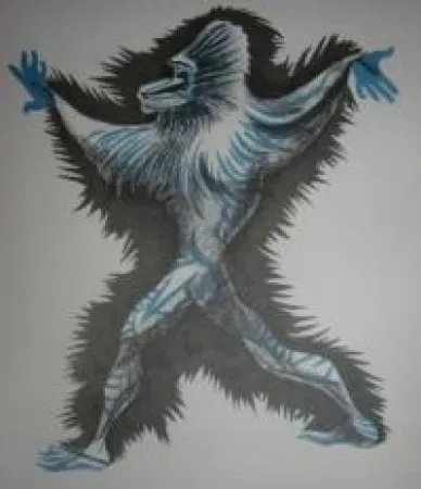 Libro Ilustrado Lurcat - Géographie animale