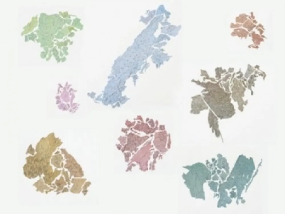 Litografía Macchi - New World