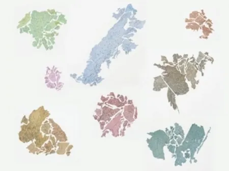 Litografía Macchi - New World