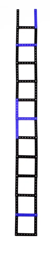 Múltiple Maggi - Fanfold II