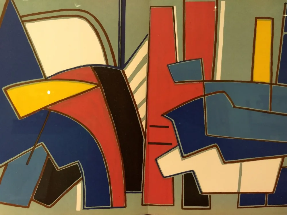 Libro Ilustrado Magnelli - Xxe No 29