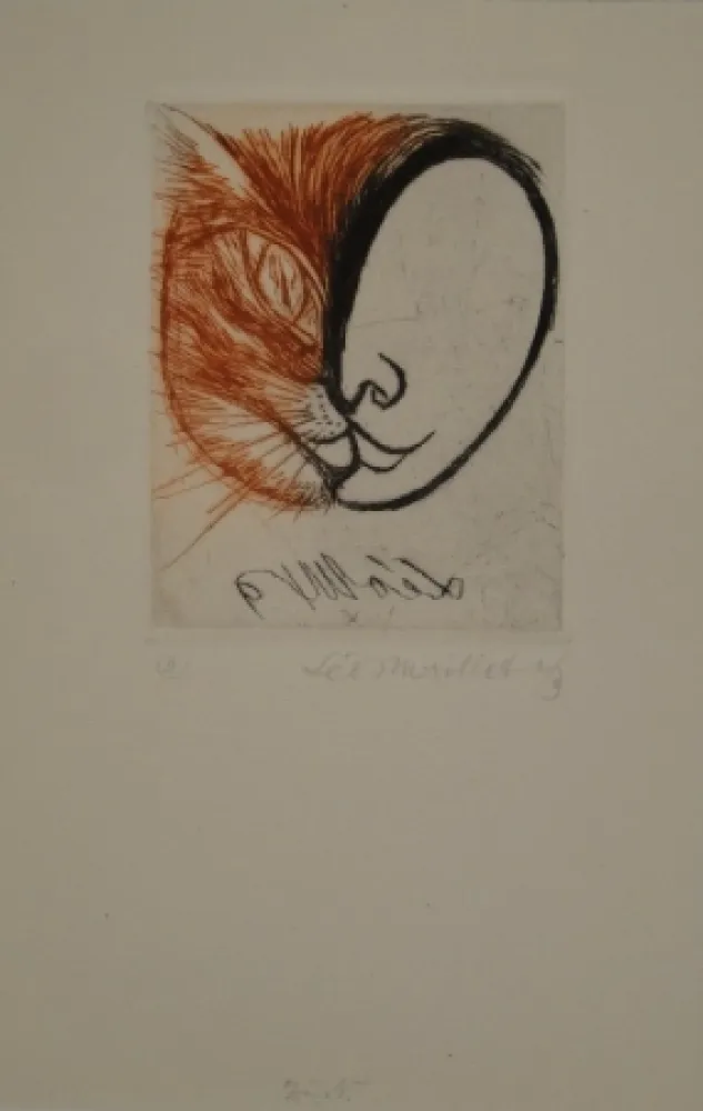 Libro Ilustrado Maillet - Léo Maillet Peintre-Graveur