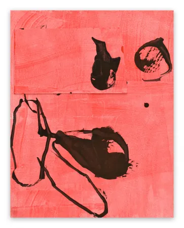 Sin Técnico Maine - Frankly Scarlet 2