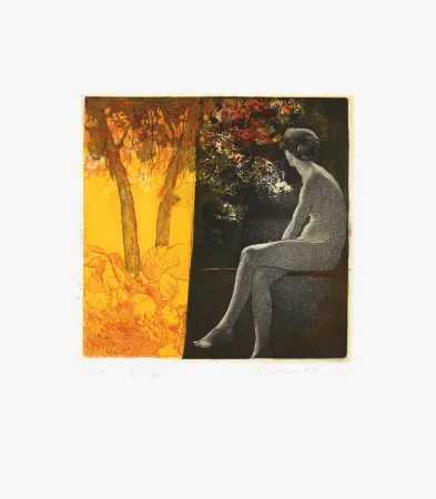 Aguafuerte Mair - Ombracule