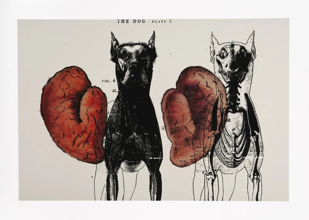 Estampa Numérica Malani - Stress of recall (The)