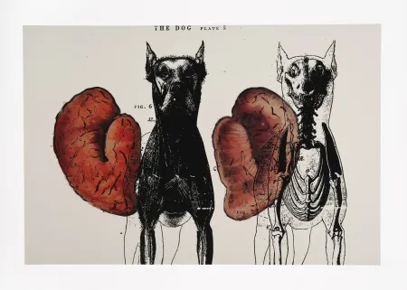 Estampa Numérica Malani - Stress of recall (The)