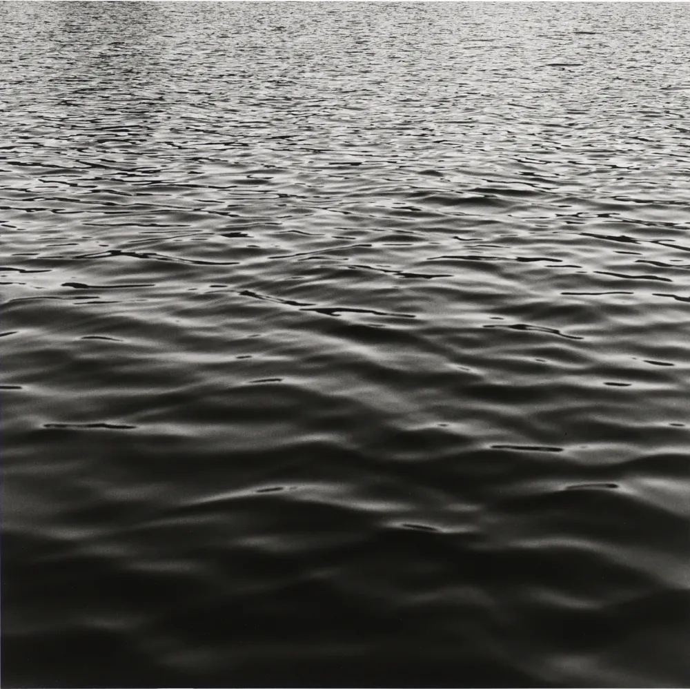 Fotografía Mapplethorpe - Lake Memphramagog