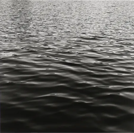 Fotografía Mapplethorpe - Lake Memphramagog