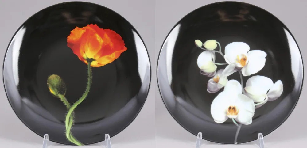 Múltiple Mapplethorpe - Poppy & Orchid