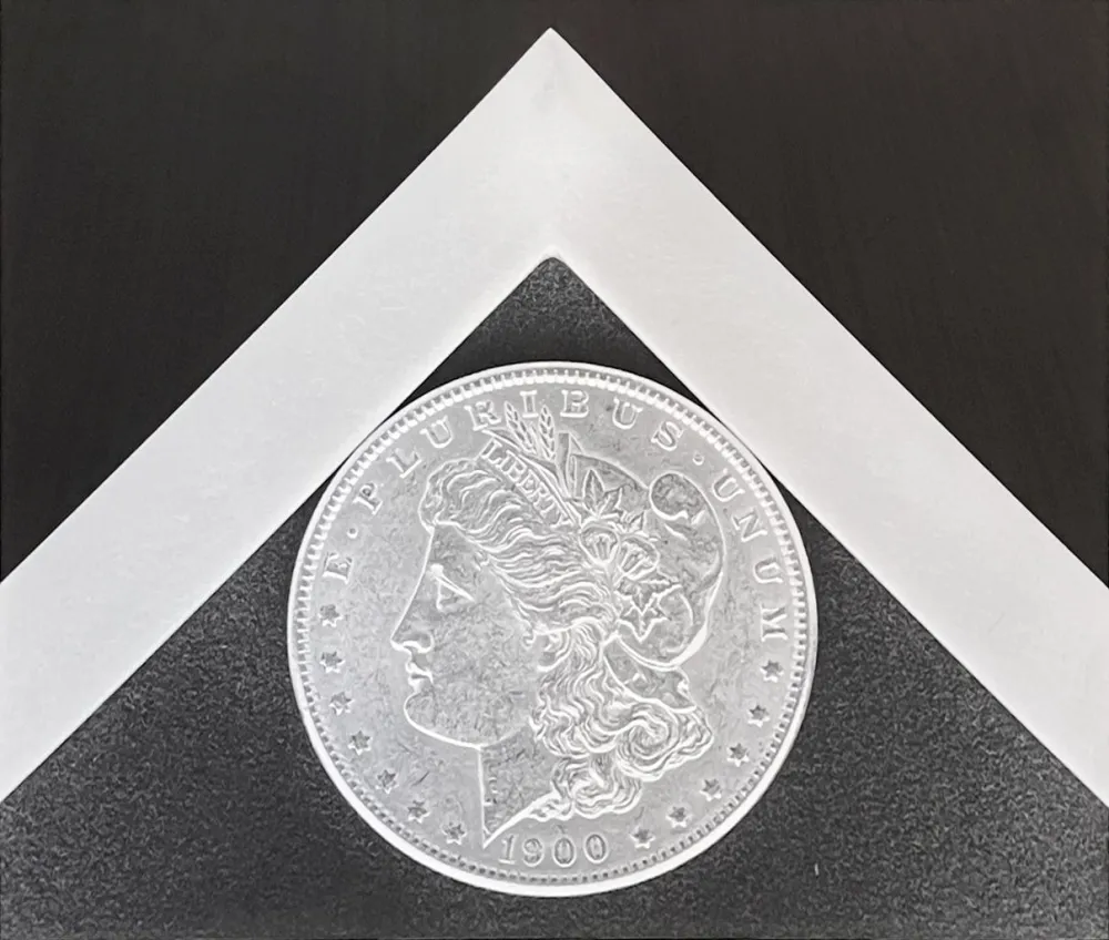 Fotografía Mapplethorpe - Silver Dollar