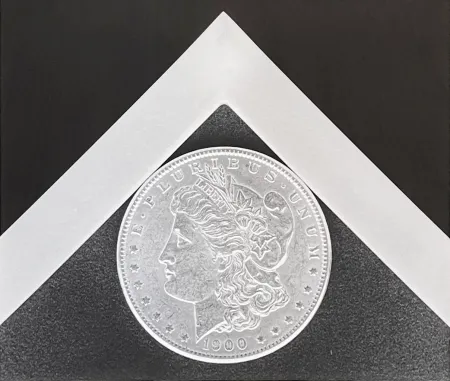 Fotografía Mapplethorpe - Silver Dollar