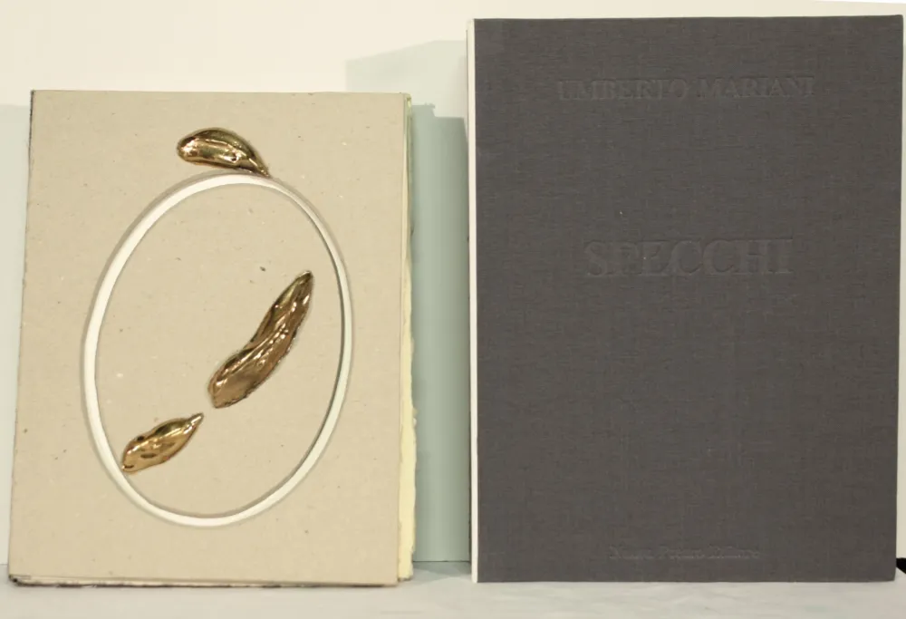 Sin Técnico Mariani - SPECCHI