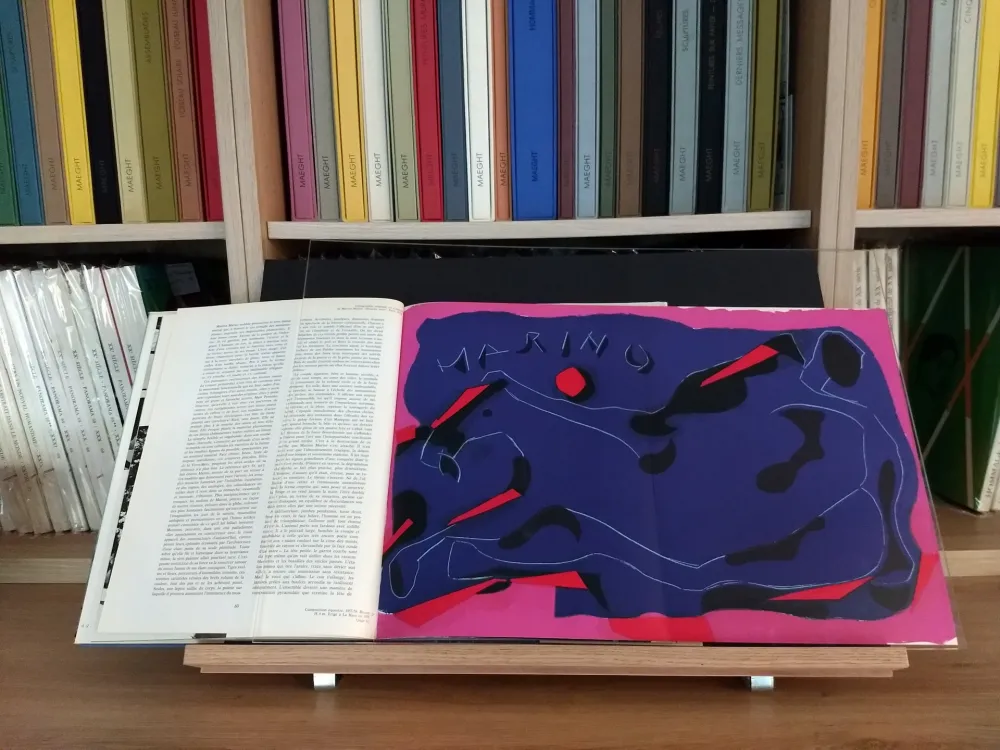 Libro Ilustrado Marini - Hommage