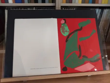 Libro Ilustrado Marini - No 35