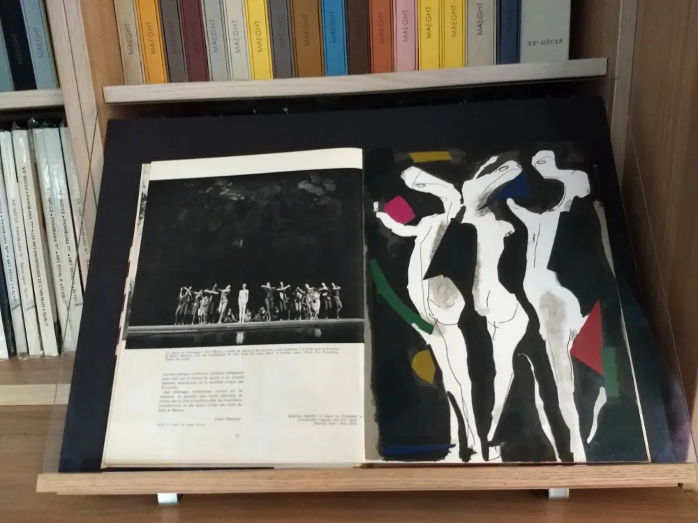 Libro Ilustrado Marini - No 40