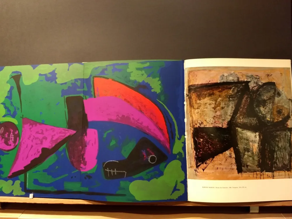 Libro Ilustrado Marini - Xxe No 30