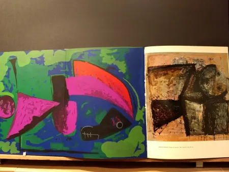 Libro Ilustrado Marini - Xxe No 30