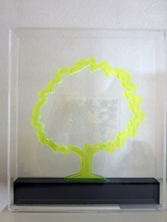 Múltiple Marotta - Arbre vert 