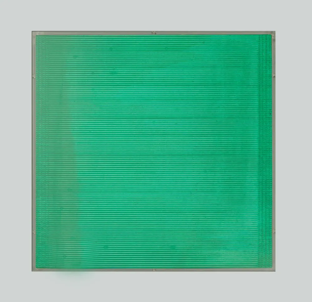 Sin Técnico Masi - Senza titolo