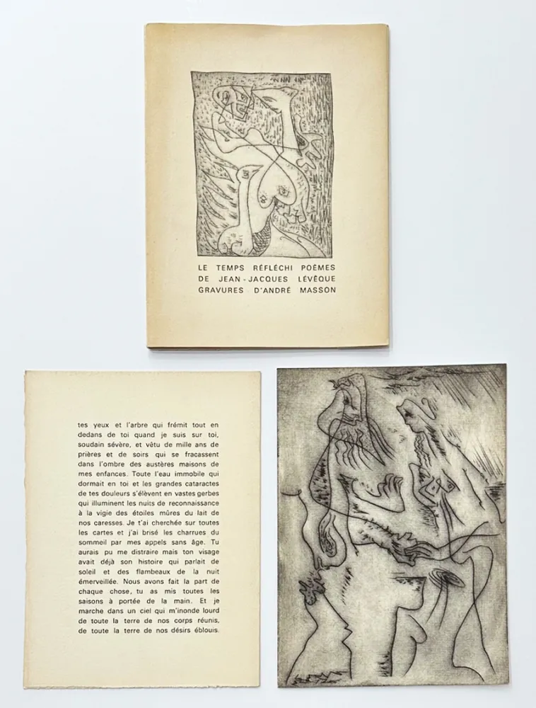 Libro Ilustrado Masson - Le temps réfléchi