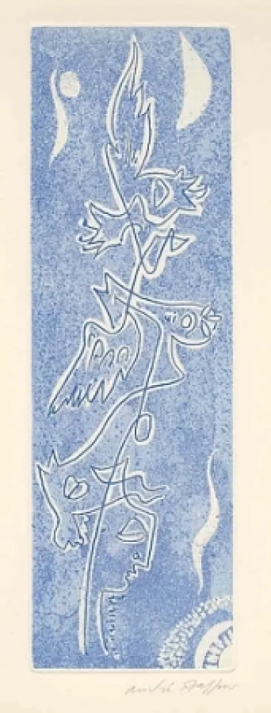 Libro Ilustrado Masson - Méta.morphoses