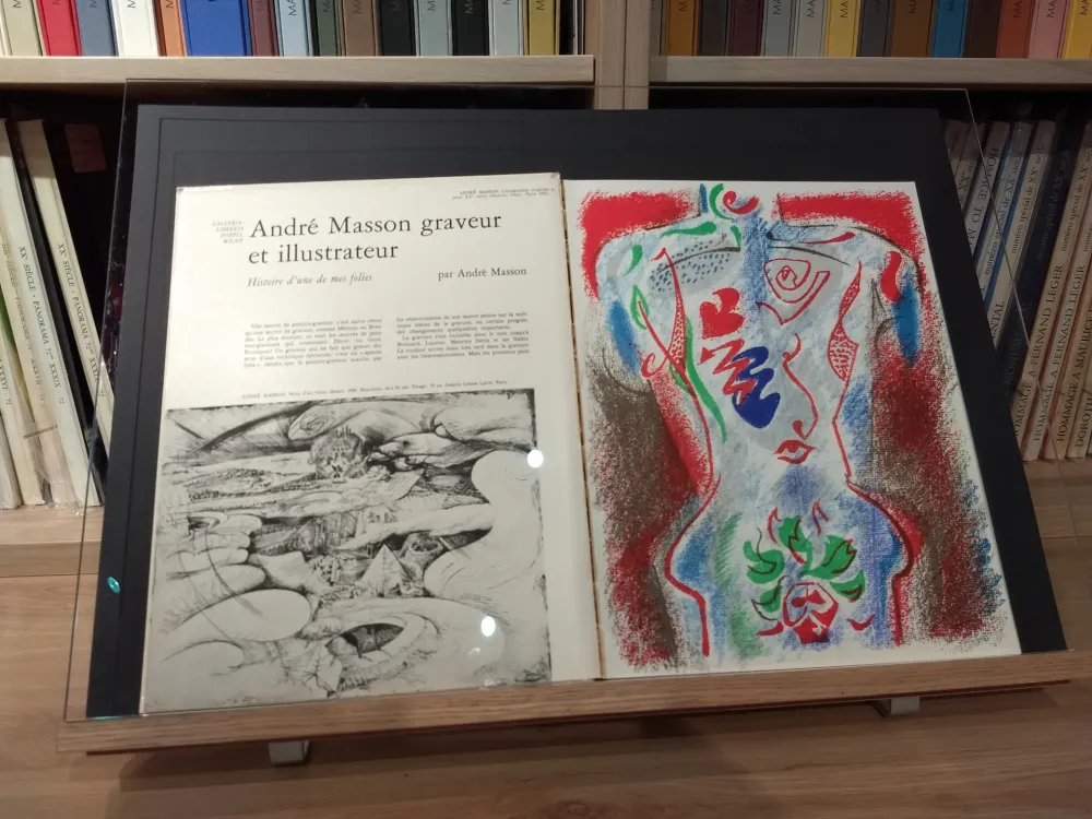 Libro Ilustrado Masson - No 38