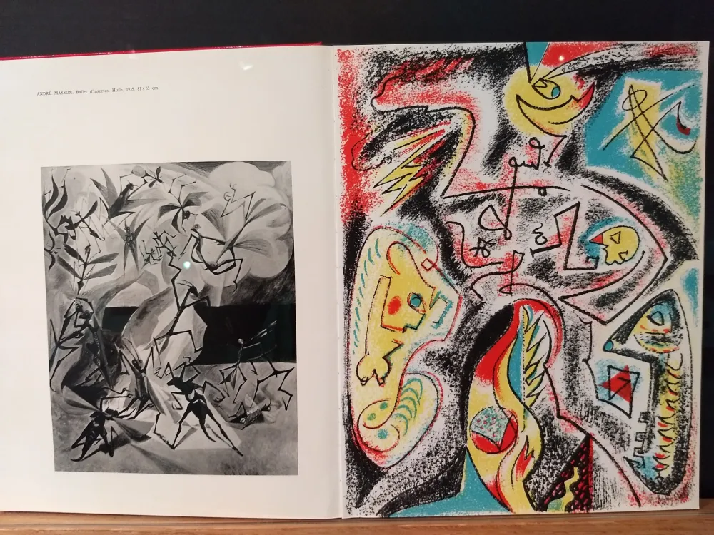 Libro Ilustrado Masson - Xxe No 32