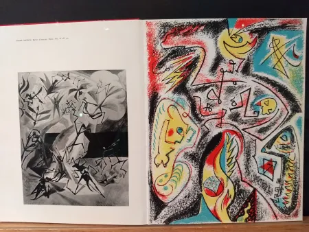 Libro Ilustrado Masson - Xxe No 32