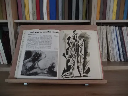 Libro Ilustrado Masson - Xxe Tanning