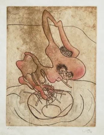 Aguafuerte Y Aguatinta Matta - FMR