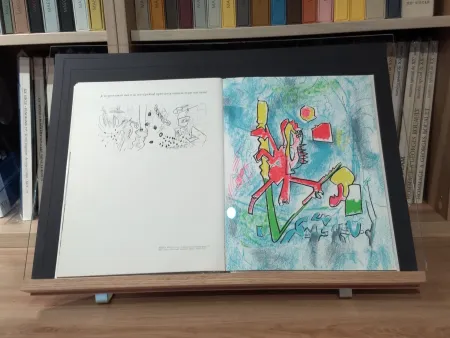 Libro Ilustrado Matta - No 45