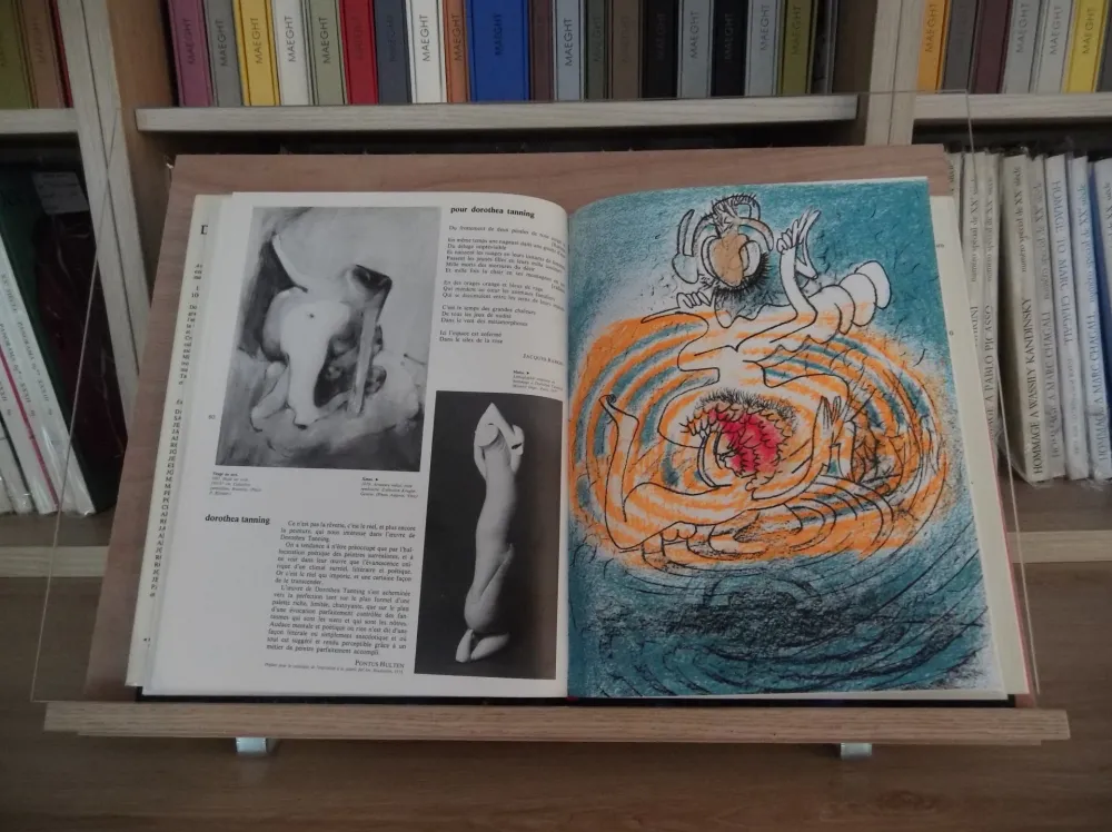 Libro Ilustrado Matta - Xxe Tanning