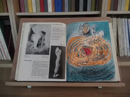 Libro Ilustrado Matta - Xxe Tanning